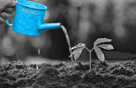 Why the definition of risk matters for fixed income investors
