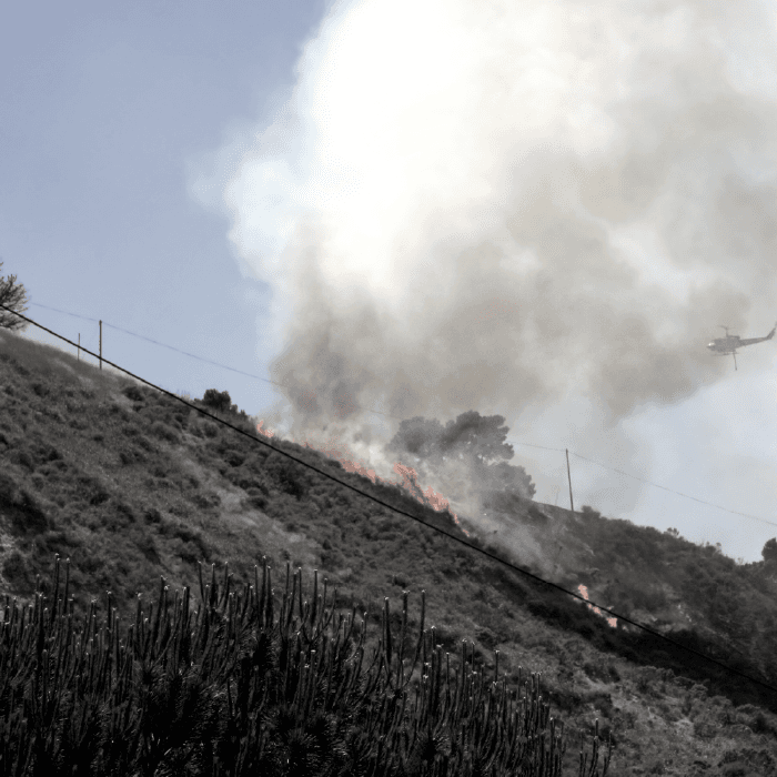 Vermy die vlamme van die Kaapse brandseisoen
