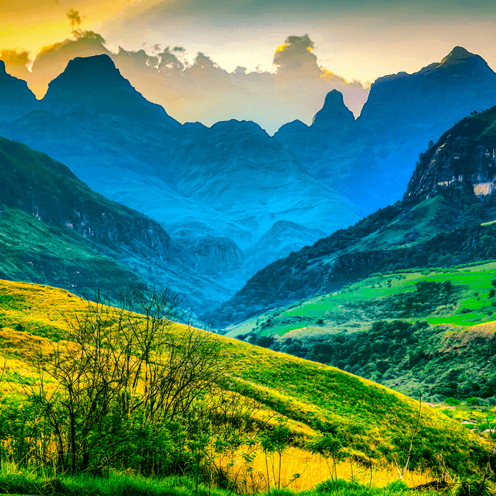 Modern age risks reshape rapidly evolving agricultural landscape