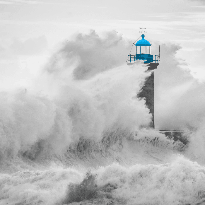 Investing in SA-Exposed Securities: Finding the opportunity amidst the danger