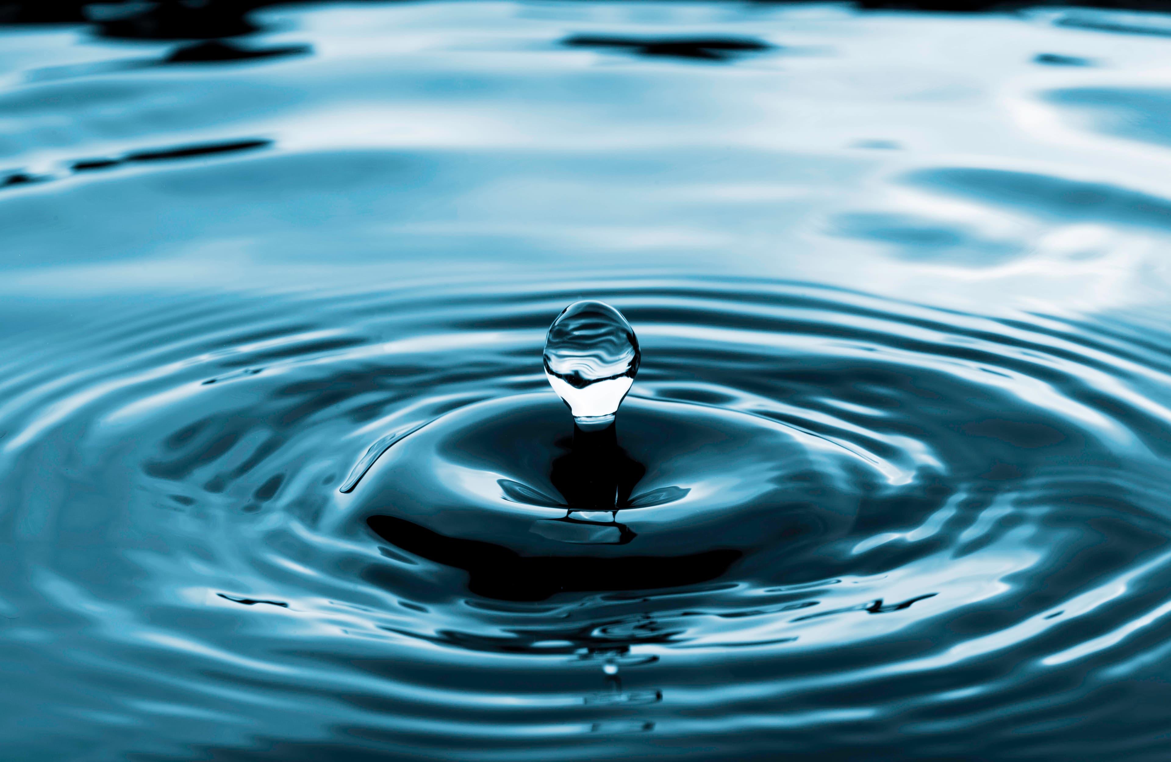 A dynamic environment requires a flexible approach