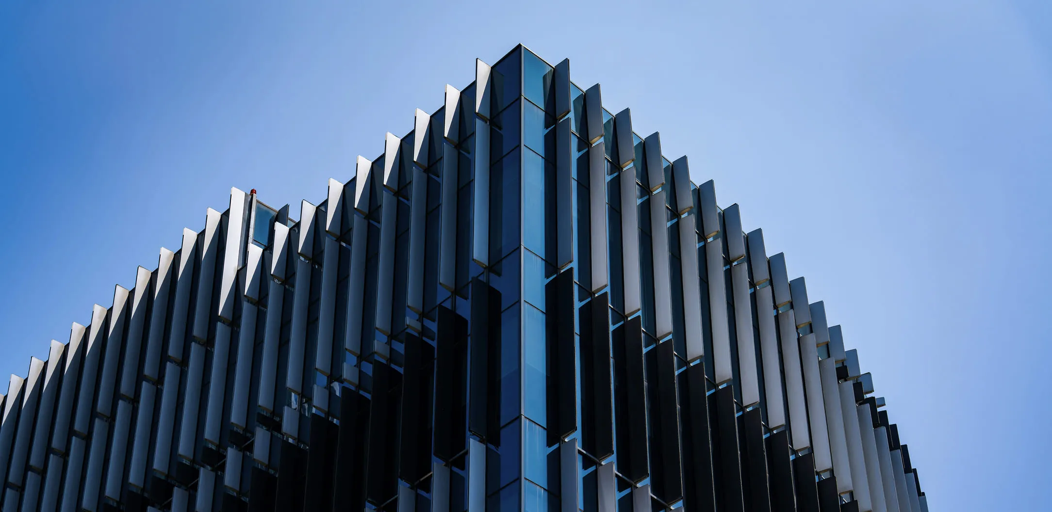 Article cover: PSG's Annual Stewardship Report Highlights