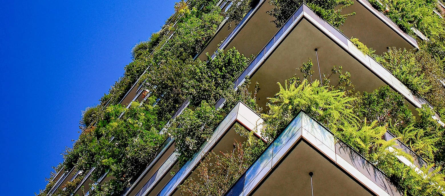 Transformation at PSG